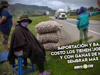 El drama de los cultivadores de papa en Colombia, que venden los bultos a 'lo que les ofrezcan' 1 El drama de los cultivadores de papa en Colombia que venden los bultos a lo que les ofrezcan