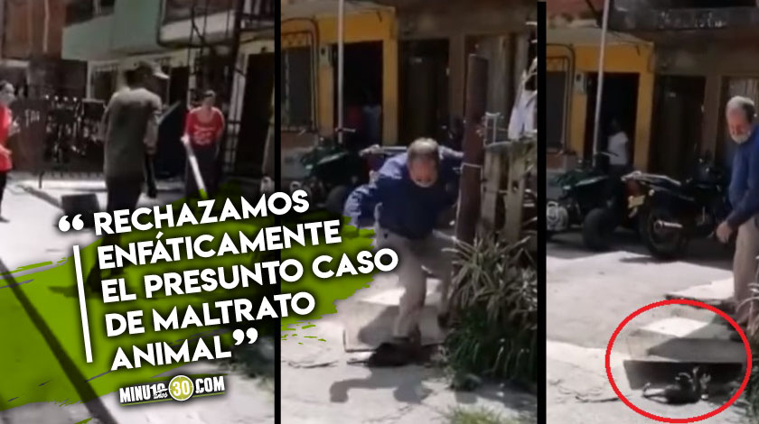 VIDEO: ¡Se les va a ir hondo! Fiscalía tiene en sus manos el caso de la zarigüeya asesinada a palo en La Estrella 1 Fiscalia tiene en su manos el caso de la zarigueya asesinada a palo en La Estrella