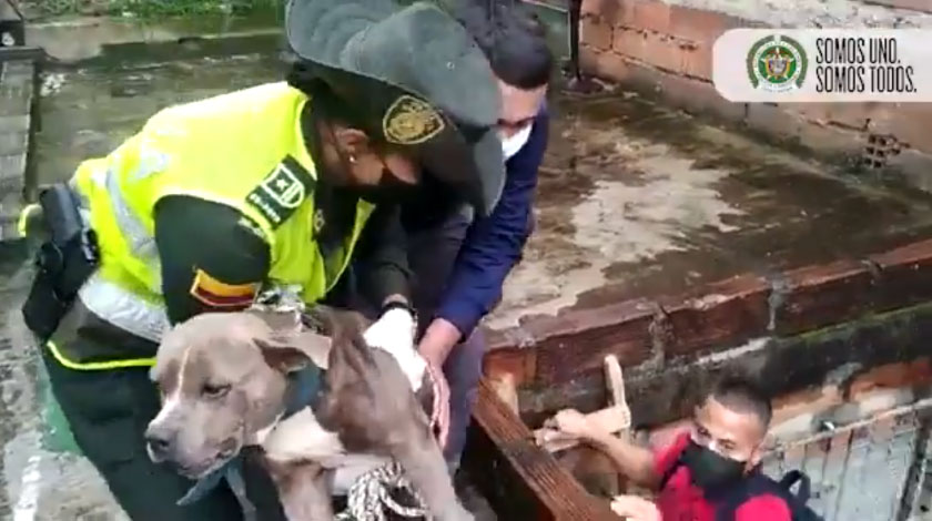 Video: ¡Héroes! Policía rescató una perrita que tenían al sol y al agua en una terraza