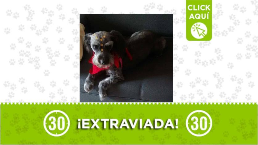 Juanita está perdida