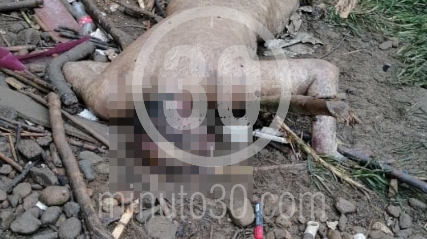 EN FOTOS: Entre basura fue hallado un cuerpo a la orilla del Río Medellín, a la altura de Barbosa 14 MUERTO EN EL RIO A LA ALTURA DE BARBOSA 4