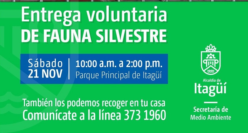 Jornada de entrega de fauna silvestre