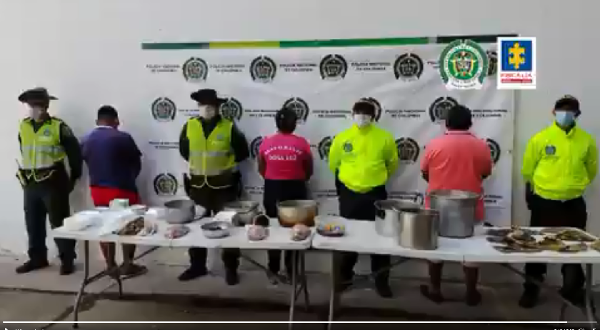 Capturados Banda que se dedicaba a la caza y comercialización de tortugas en peligro de extinción