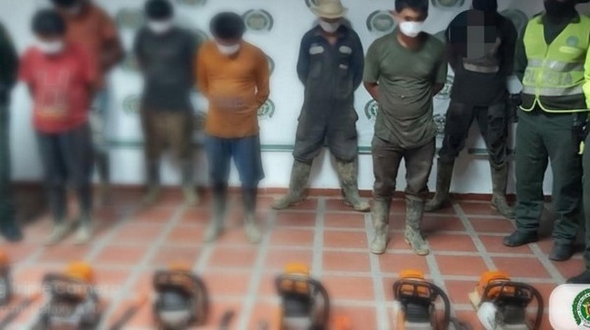 Capturas tala de árboles