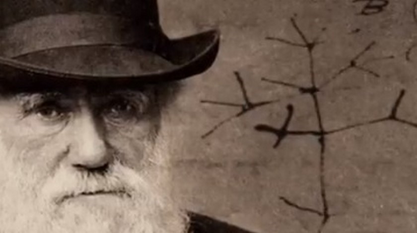 Habrían robado de biblioteca de Cambridge cuadernos de Darwin, uno con su dibujo del ‘árbol de la vida’