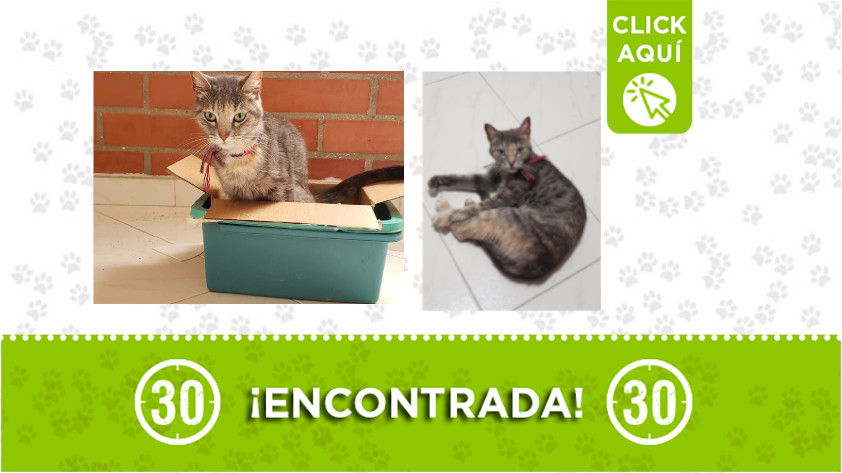 encontrada, Envigado, barrio La Magnolia