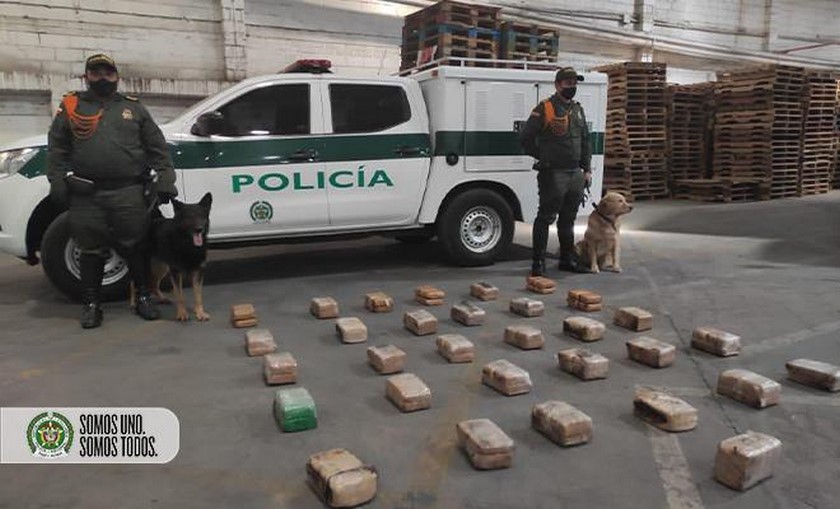 FOTOS: En bodega al sur del Valle de Aburrá encontraron encomiendas de 172 kilos de marihuana y 3 kilos de cocaína 3 incautacion estupefaciente carabineros