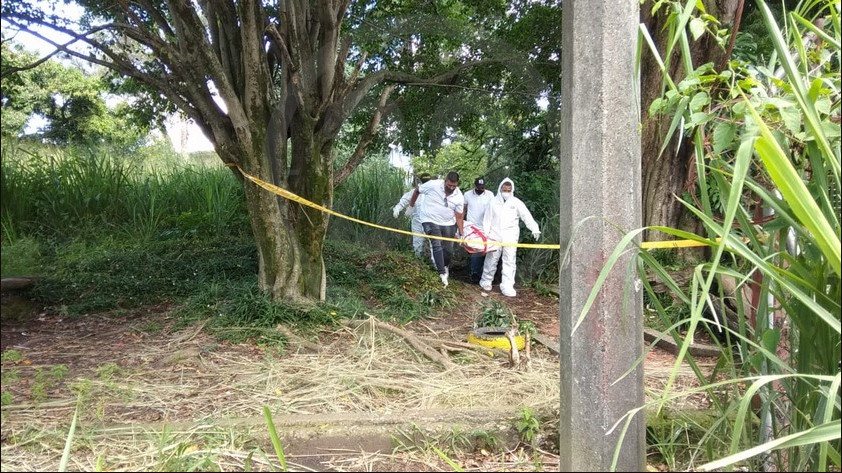 FOTOS: Encontraron el cuerpo de un hombre con heridas por arma blanca en una 'desolada' finca de Itagüí 9 muerto itagui finca9