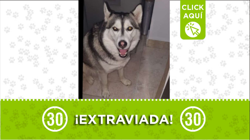 “Malú” se perdió en Robledo Bello Horizonte