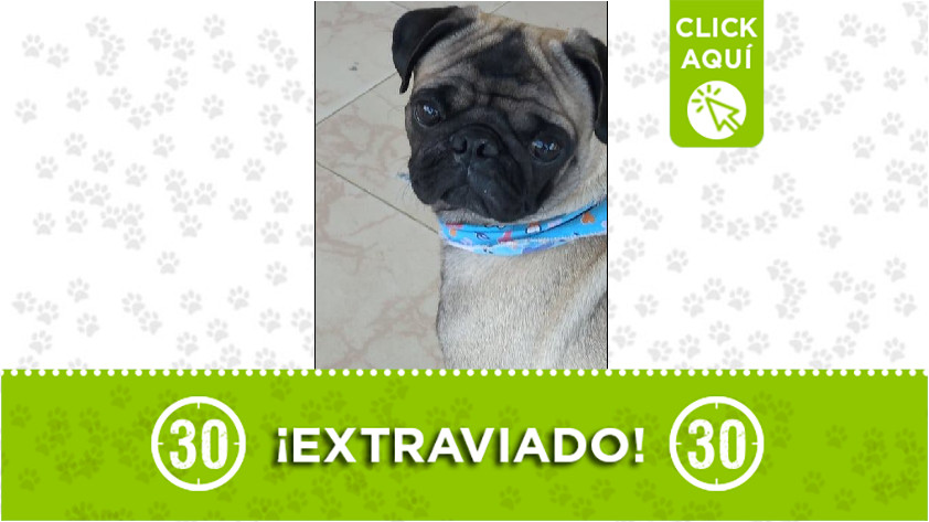 Extraviado