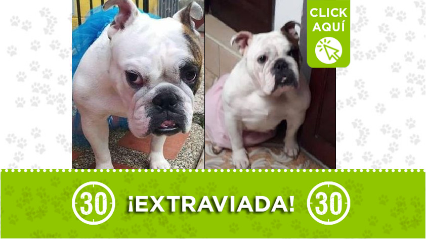 Extraviada