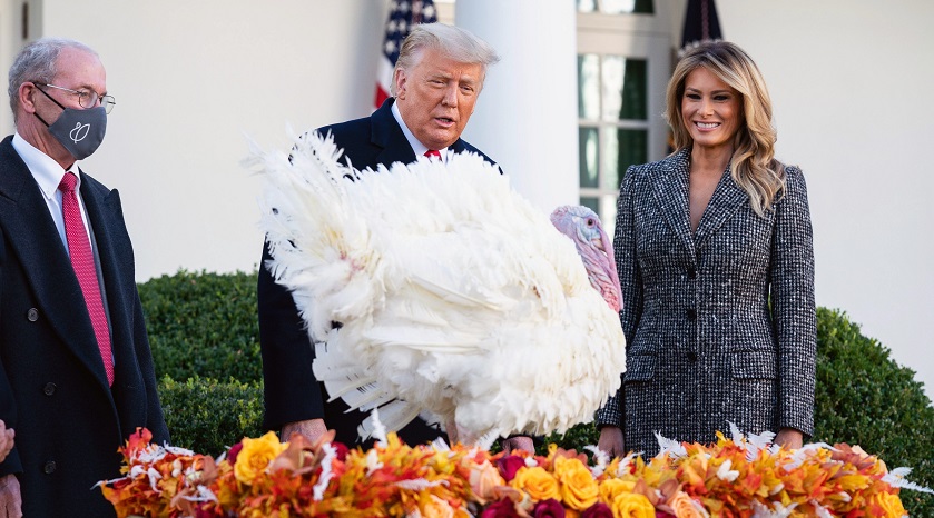Trump indulta al pavo de Acción de Gracias mientras Biden presenta su Gabinete