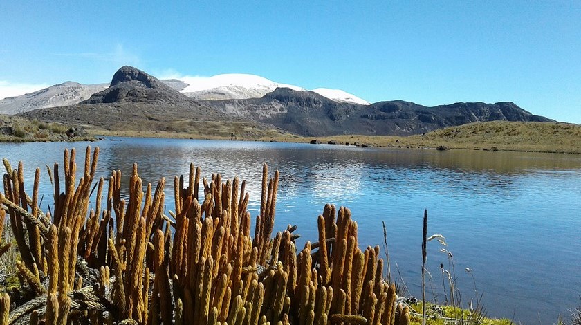 Parque Nacional Natural Los Nevados