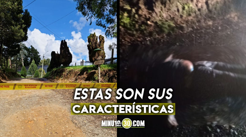 Quedo sin identificar el hombre que hallaron sin vida en plena via de Santa Elena