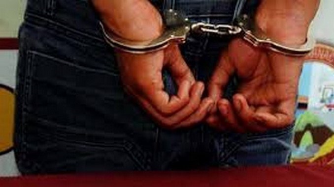 Arrestaron a un hombre que aplastaba animales por placer sexual