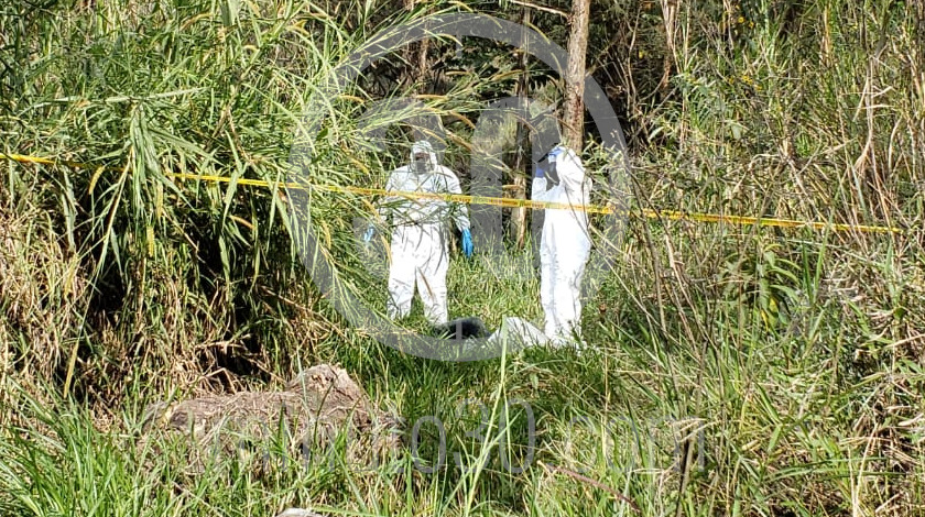 EN FOTOS Y VIDEO: Encontraron un muerto entre unos matorrales a un costado de la Medellín- Bogotá 3 muerto en zona boscosa de la medellin bogota a la altura de la bascula 1 12 2020 1