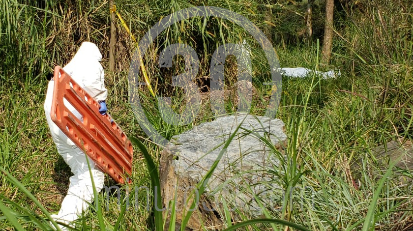 Se lo llevaron unos ‘manes’ y luego apareció muerto en zona rural de Sabanalarga, Antioquia