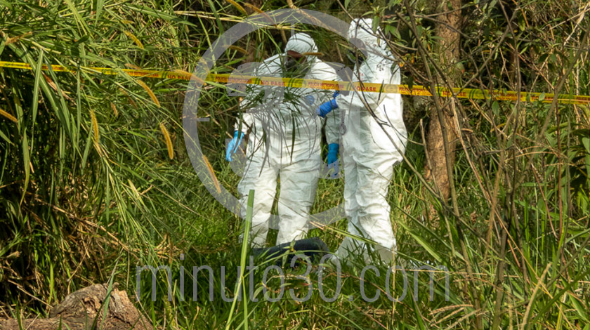 EN FOTOS Y VIDEO: Encontraron un muerto entre unos matorrales a un costado de la Medellín- Bogotá 7 muerto en zona boscosa de la medellin bogota a la altura de la bascula 1 12 2020 8