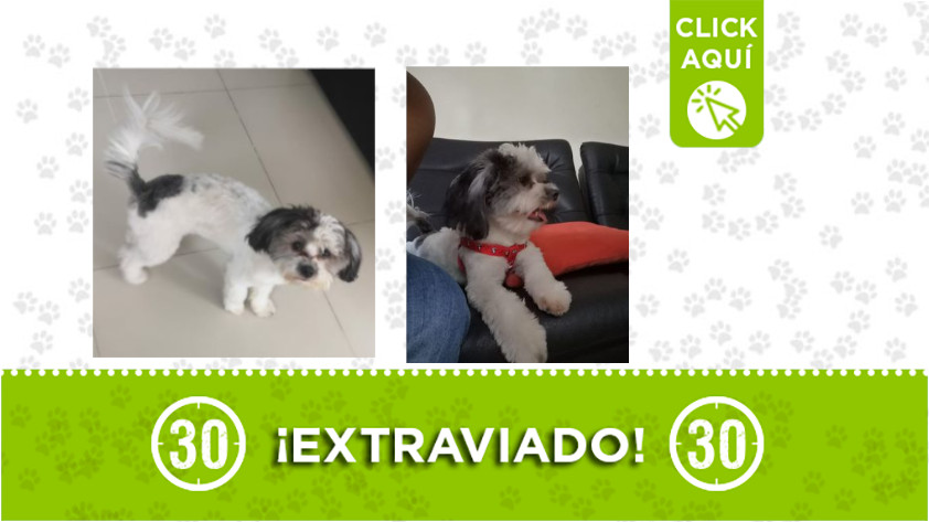 'Tony' se perdió por Manrique