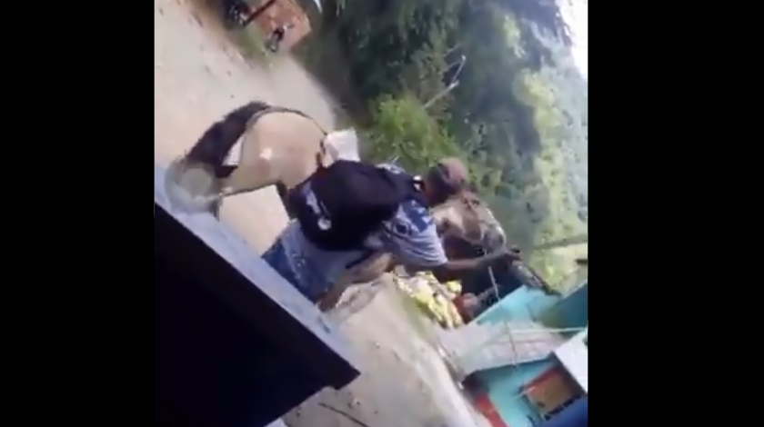 EN VIDEO: ¡Así no! En Cocorná un ‘animal’ atacó a planazos de machete a un caballo