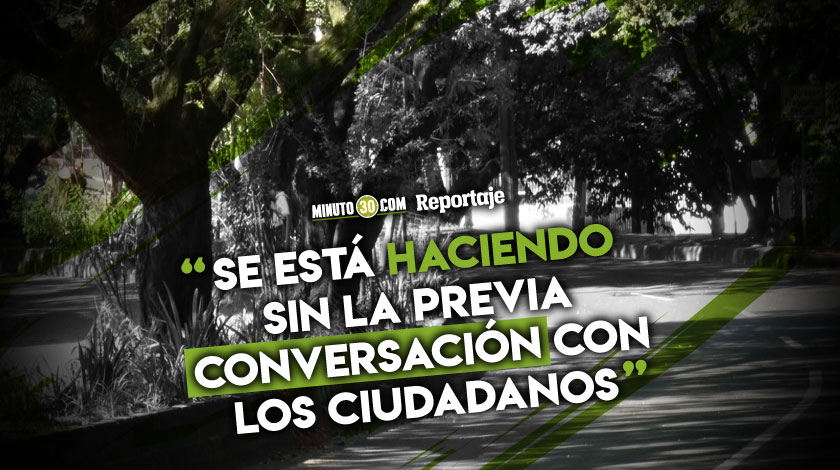 Ambientalistas dicen que la tala del túnel verde se está haciendo “sin licencia social” 1 Ambientalistas dicen que la tala del tunel verde se esta haciendo sin licencia social