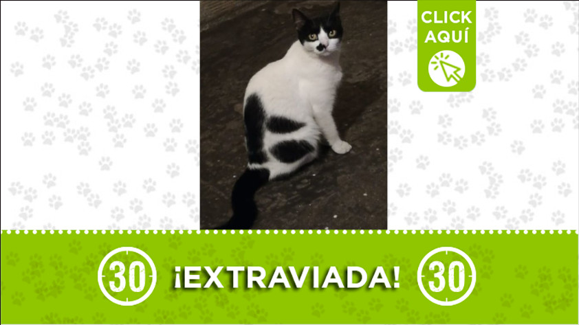 ¿La ha visto?, la buscan en San Javier 1