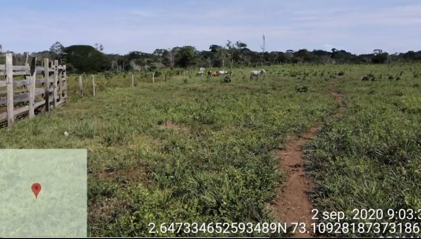 Video: Capturan a ocho personas que estarían acabando con el medio ambiente por ganadería, en el Meta 1 ganaderia