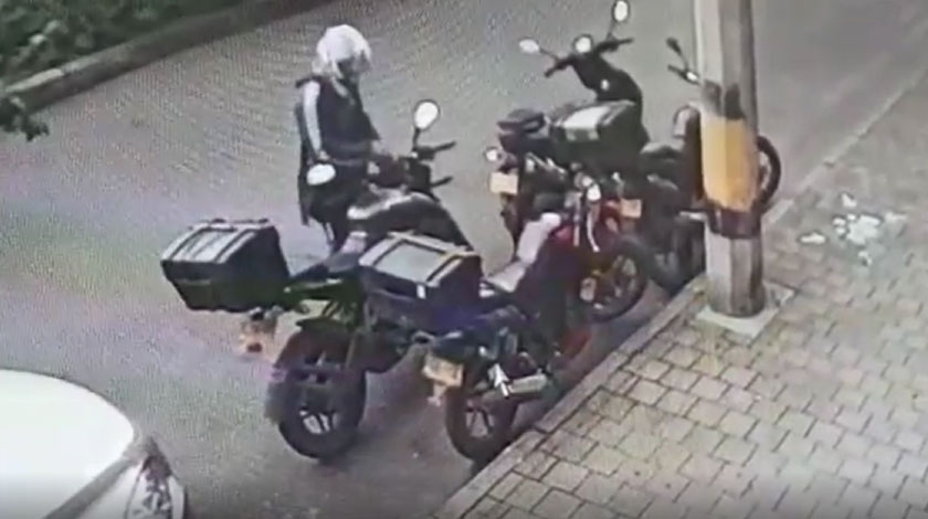 Video: ¡Tremendo gato! En un momentico prendió una moto y se la robó, en San Benito 1 Tremendo gato En un momentico prendio una moto y se la robo en San Benito