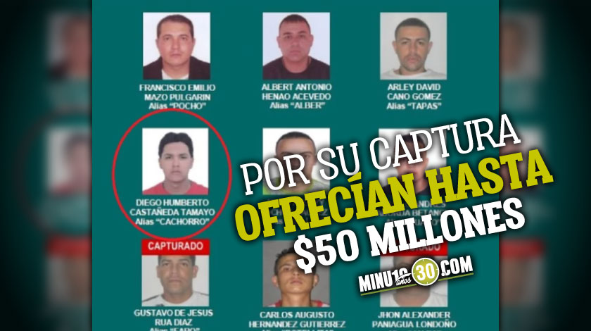 ¡Estaba de fiesta en Bucaramanga! Capturan a jefe de sicarios de 'Los Pachelly' 1 Estaba de fiesta en Bucaramanga Capturan a jefe de sicarios de Los Pachelly