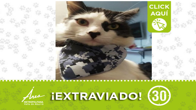 "Chiko" se perdió en Itagüí