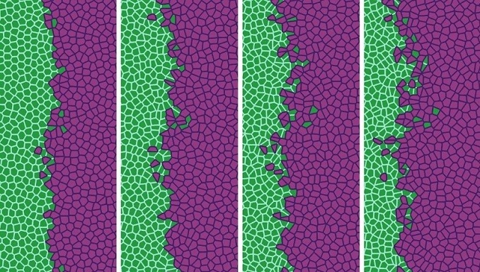 Científicos describen matemáticamente el inicio de la metástasis
