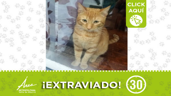 "Tom" se perdió en El Carmelo