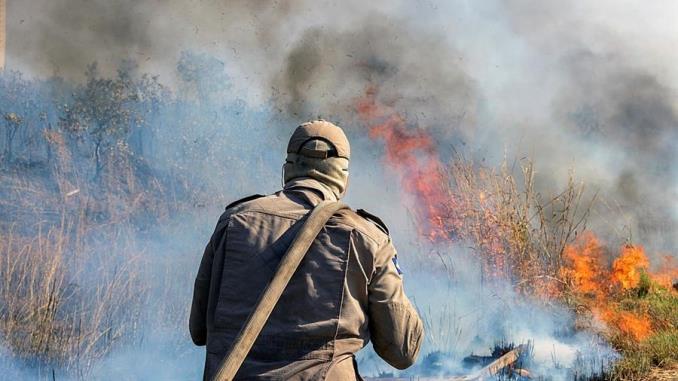 La Amazonía brasileña perdió unos 8.500 kilómetros cuadrados de selva en 2020