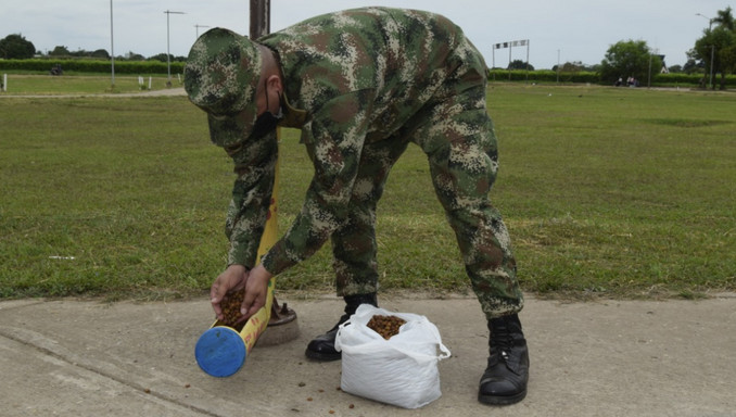 Soldados instalan dispensadores artesanales de comida para los perros y gatos sin hogar