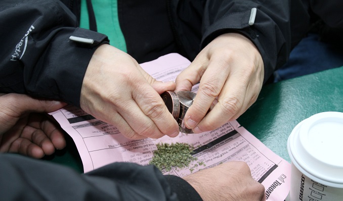 Ojo: el consumo de marihuana puede reducir las posibilidades de un embarazo