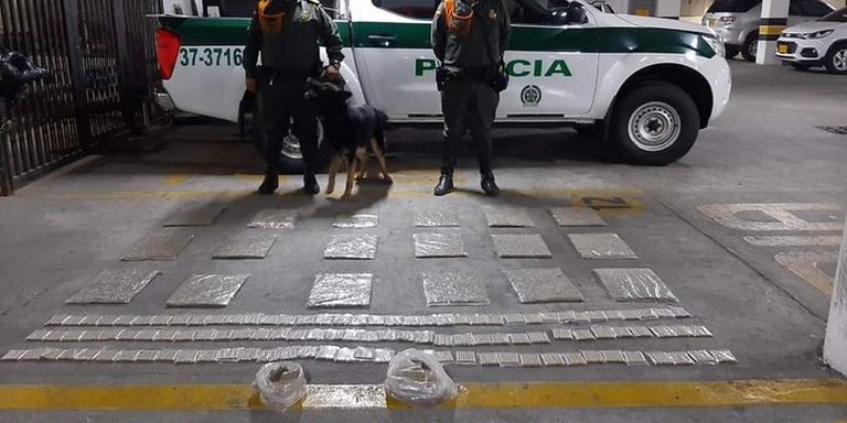 FOTOS: Hallaron abandonados 1.000 cigarrillos de marihuana en Itagüí