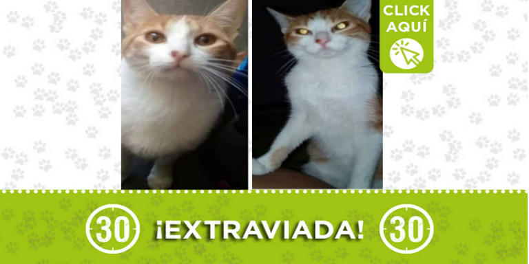 "Niña" se perdió en Robledo ¿La ha visto?