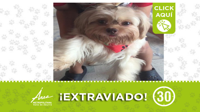 Tobias se perdió en Andalucía