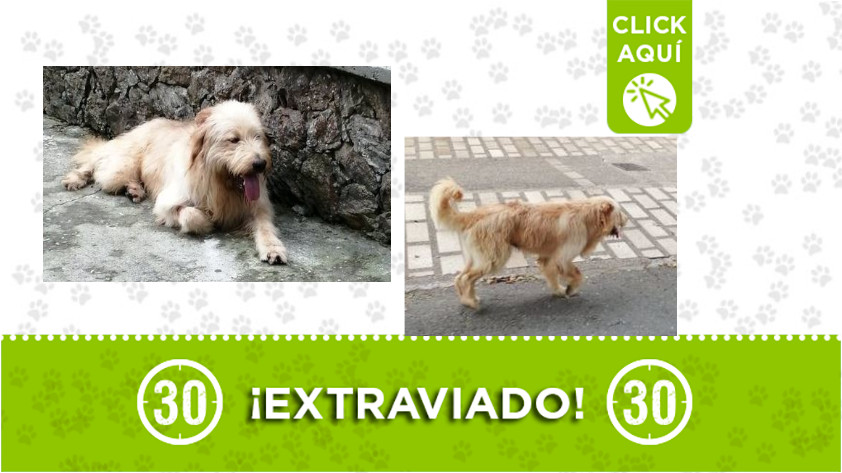 perdido