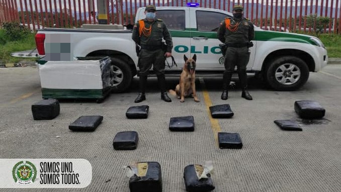 ¡Qué encomienda! Pretendían transportar más de 36 kilos de marihuana por una empresa de envíos pero los descubrieron