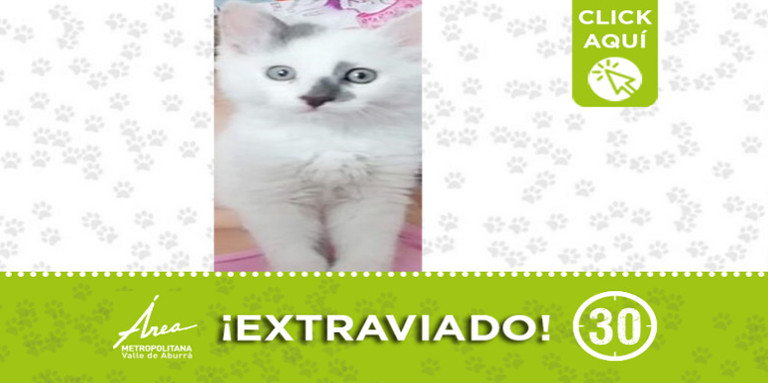 "Simón" se perdió en la América ¿Lo ha visto?