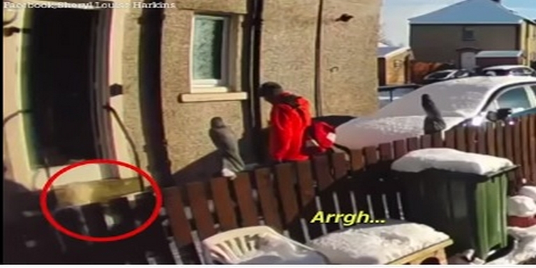 Por “estar cansado” cartero dejó a abuela que se cayó y se golpeó la cabeza en el piso