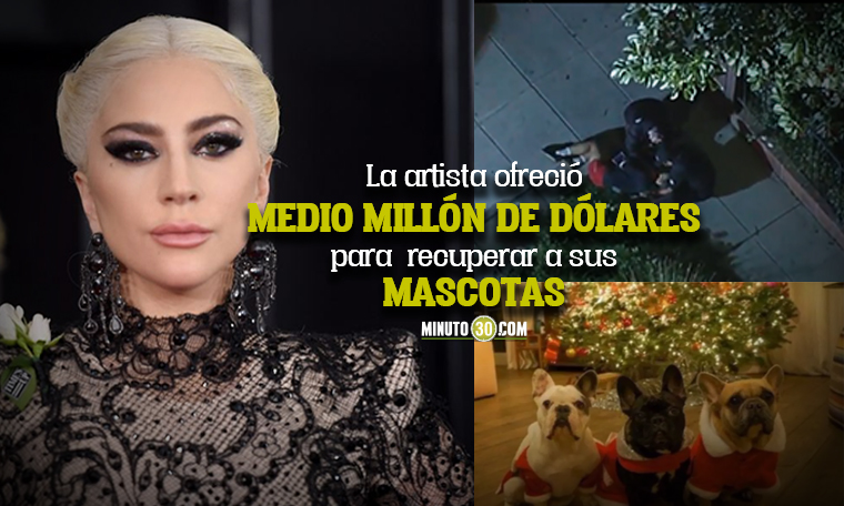 VIDEO: ¡Increíble! A tiros se robaron dos perritos de Lady Gaga, le dieron cuatro balazos al paseador