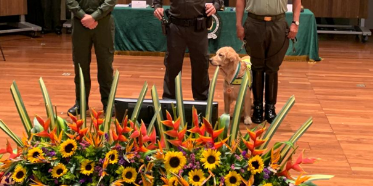 ¡Felicitaciones! Por su valeroso trabajo en Medellín, “Tamy” fue condecorada 1 Tamy