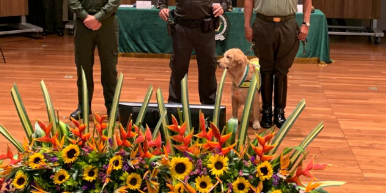 ¡Felicitaciones! Por su valeroso trabajo en Medellín, “Tamy” fue condecorada