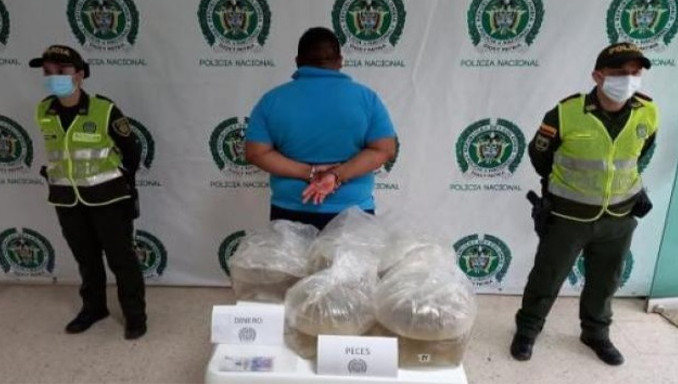 Sujeto intentó sobornar a policías con 100 mil pesos tras descubrirlo transportando peces ornamentales