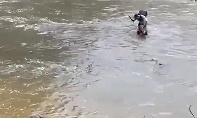 Video: Presunto ladrón fue atrapado por un ciudadano cuando se lanzó a un río