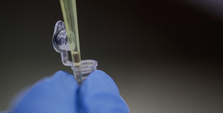 La OMS espera tomar próximamente una posición sobre el uso de la ivermectina