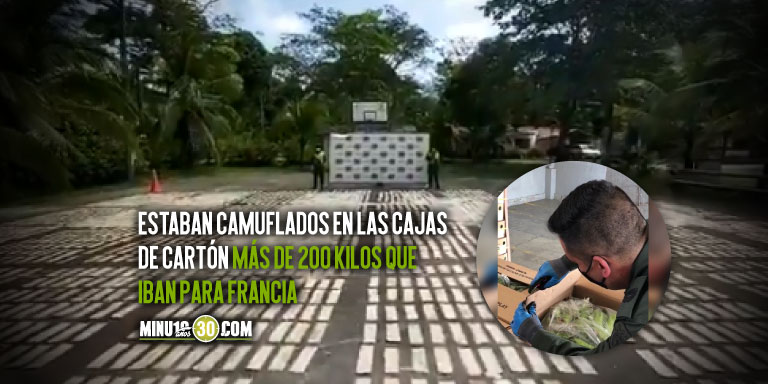 ¡’Se cayó la merca’! Camuflaron cocaína en las cajas de bananos que iban para Francia