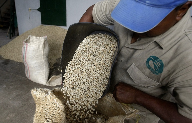 Colombia espera producir seis millones de sacos de café en el primer semestre